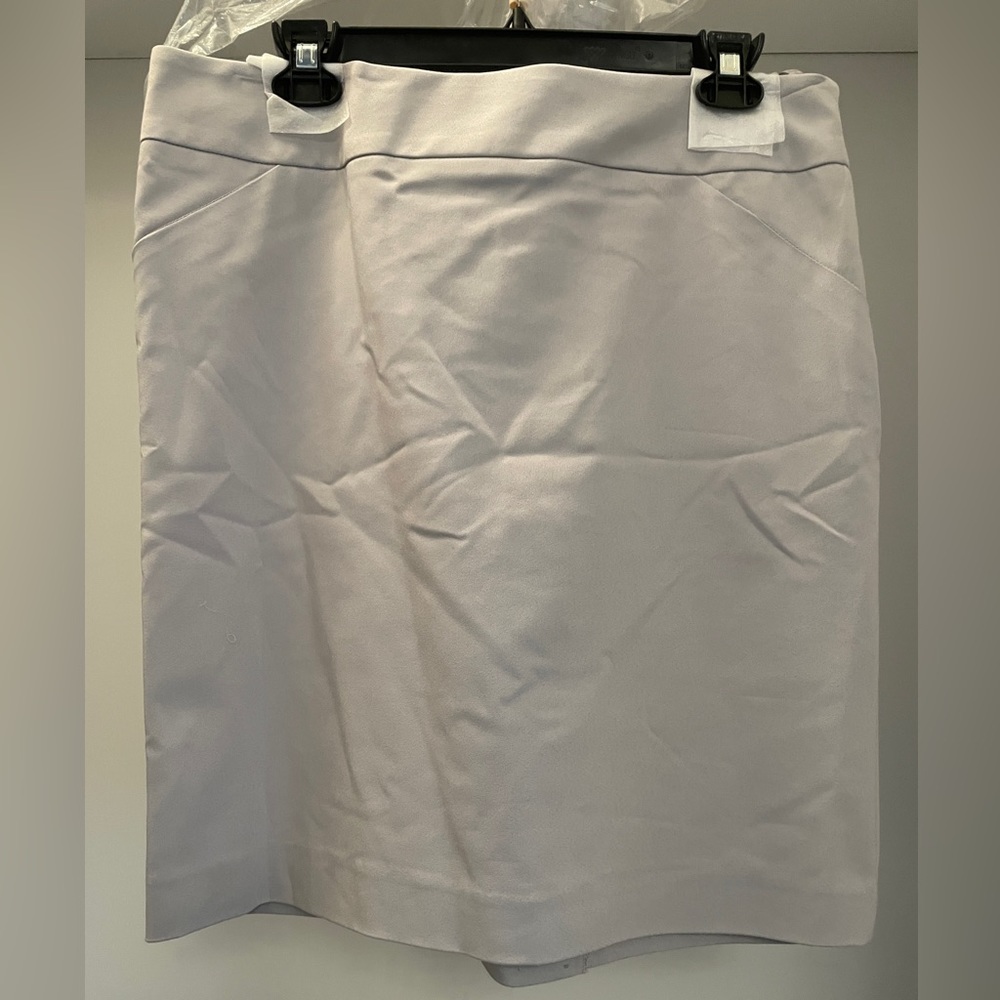 NWT in bag Amanda & Chelsea Size 10 Dove Grey side zipper Skirt. 20 “ long.